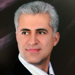 Dr MohammadSaeid Saeidpour Masoule